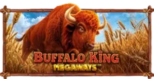 ภาพเกม Buffalo King Megaways ที่ rui66 รวบรวมไว้